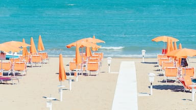 Sunbeds and parasols on the seashore. Beach, sea and umbrellas on summer day. Adriatic coast, Rimini, Italy, view from Gabicce Mare.