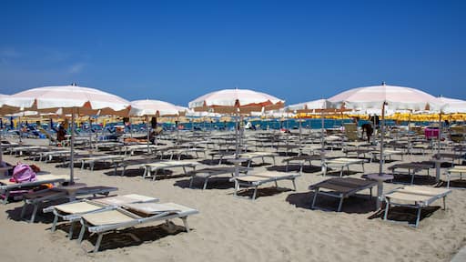 Uma praia com fileiras de espreguiçadeiras e guarda-sóis.