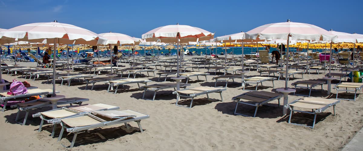 A beach with rows of sunbeds and umbrellas.