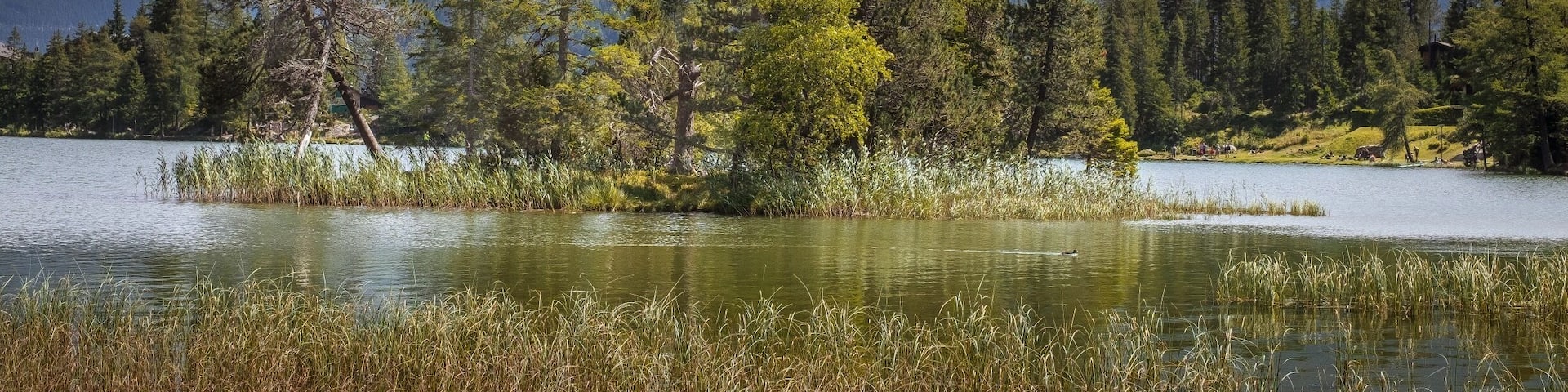 Small peaceful mountain lake; easily accessible !