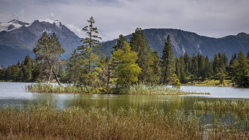 Small peaceful mountain lake; easily accessible !