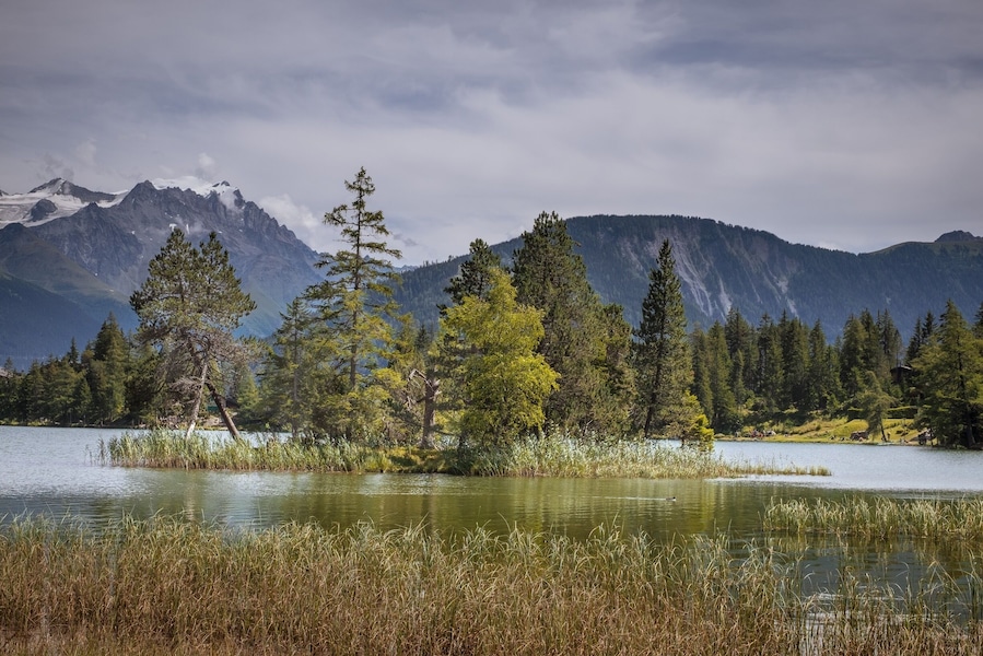 Small peaceful mountain lake; easily accessible !