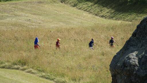 Vier Jungen gehen durch eine Blumenwiese in La Fouly im Kanton Wallis, Schweiz. Am rechten Bildrand ist ein Findling zu sehen, der in der Wiese liegt. Die vier Kinder gehen in einer Einerreihe hintereinander her.