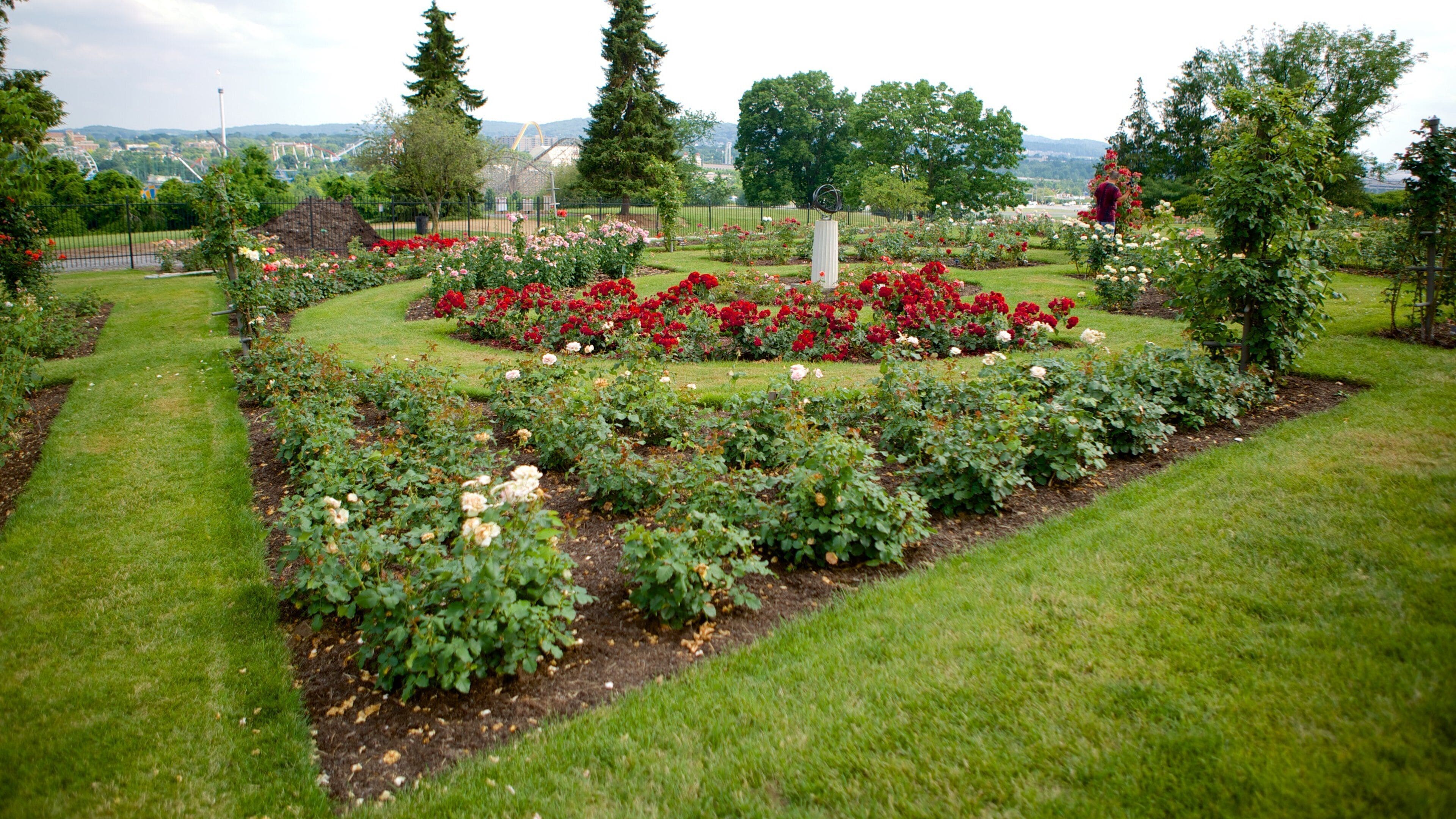 Hershey Gardens featuring a park and wildflowers