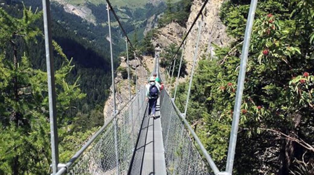 Suspension bridge anyone?
Why not try the bisse de Saviese with it's 4 suspension bridges?
A cafe at the start, another one at the opposite end - a perfect walk for those with no fear of high. Count about 1 hour each way.
#hiking #Switzerland #Valais #Bisse #Suspensionbridge #LifeatExpedia