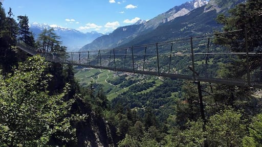 Suspension bridge anyone?
Why not try the bisse du Torrent Neuf (Saviese) with it's 4 suspension bridges?
A cafe at the start, another one at the opposite end - a perfect walk for those with no fear of high. Count about 1 hour each way.
#hiking #Switzerland #Valais #Bisse #Suspensionbridge #LifeatExpedia #Saviese
