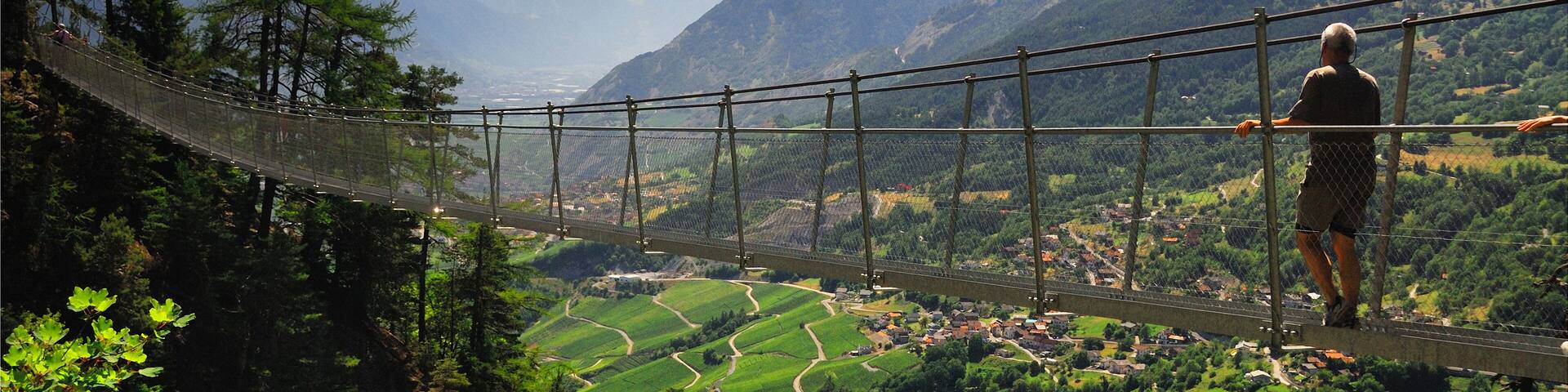 A suspension bridge over a valley with green fields and mountains in the background.