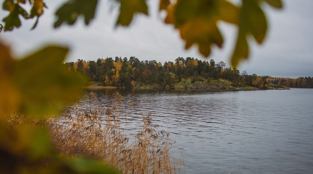 Typical swedish beach or coast close to Stockholm at Hässelby strand, on a cold cloudy autumn day. Visible leaves and trees in the foreground