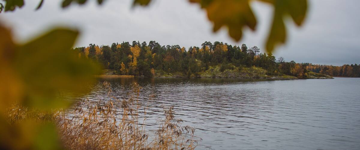 Typical swedish beach or coast close to Stockholm at Hässelby strand, on a cold cloudy autumn day. Visible leaves and trees in the foreground