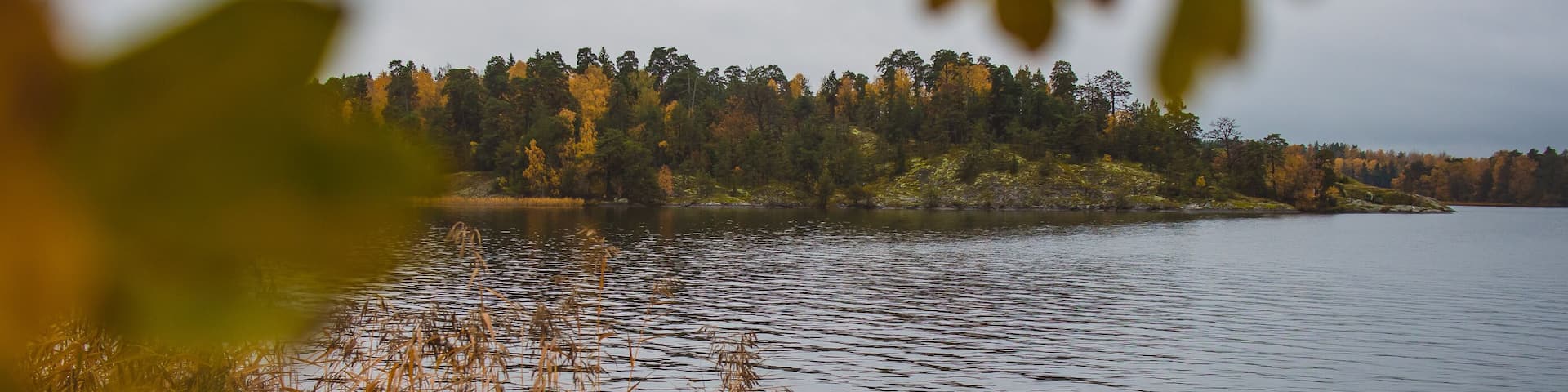 Typical swedish beach or coast close to Stockholm at Hässelby strand, on a cold cloudy autumn day. Visible leaves and trees in the foreground