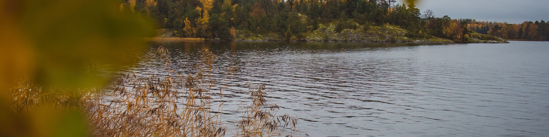 Typical swedish beach or coast close to Stockholm at HĂ€sselby strand, on a cold cloudy autumn day. Visible leaves and trees in the foreground