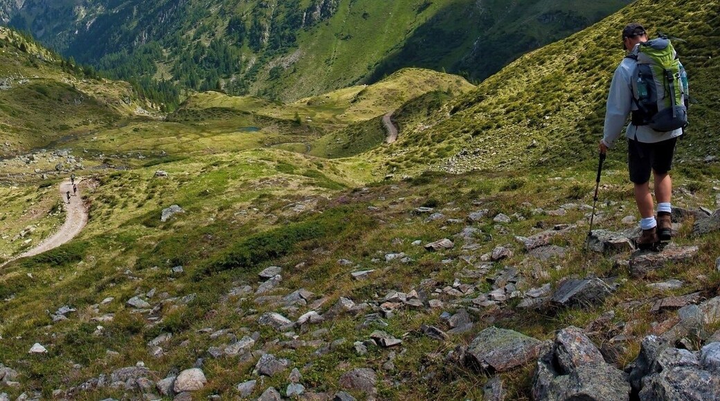 August 2011
Schladminger Tauern
Obertal valley (alt. ca. 1.800 m) on the road from Keinprechthuette to Trockenbrotscharte