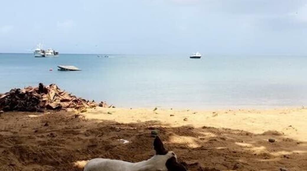 #LifeAtExpedia Even the dogs call this place paradise.