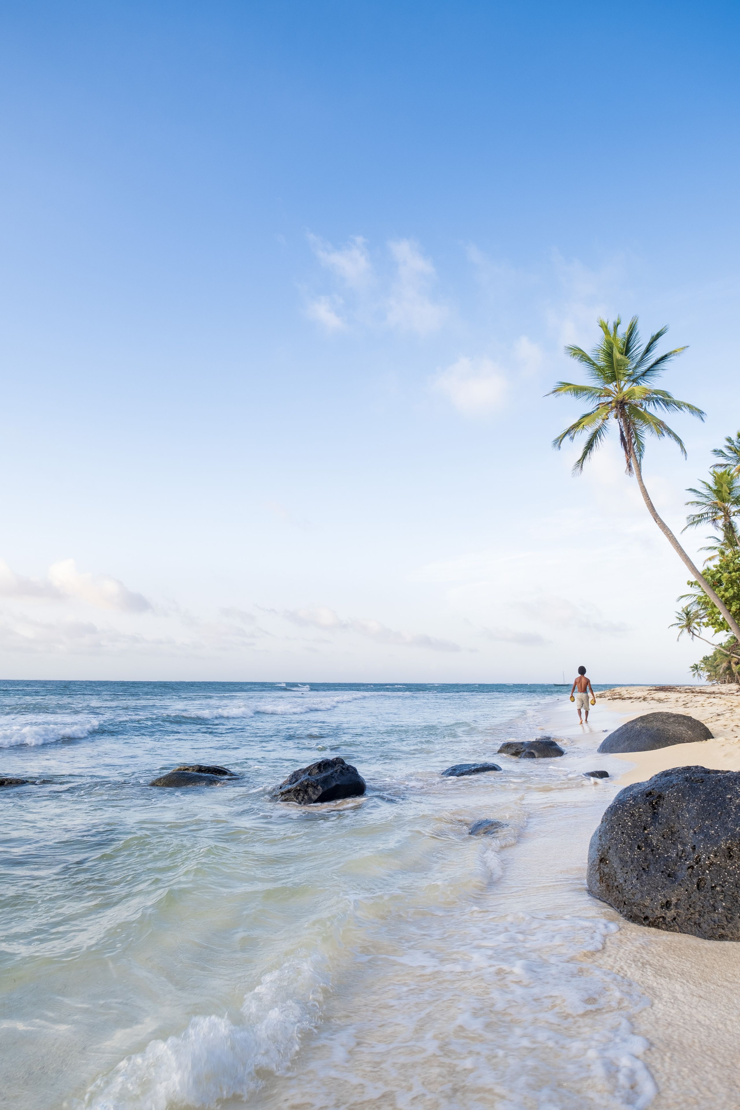 A beach with clear blue water, large rocks, and a palm tree.