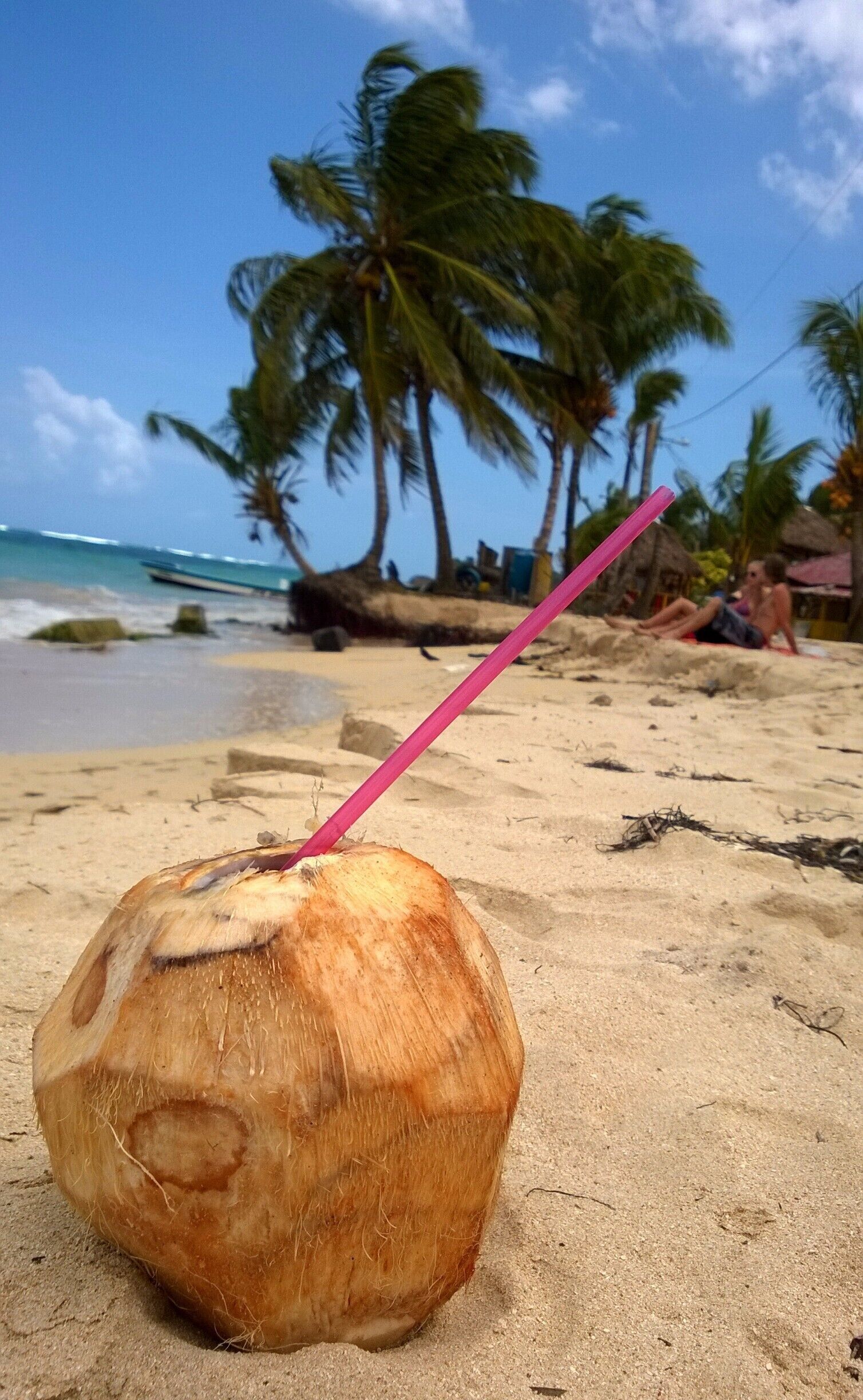 Best way to spend the day on Little Corn Island, Nicaragua is on the beach with a fresh coconut! Even better if you add a bit of rum... #BeachBound