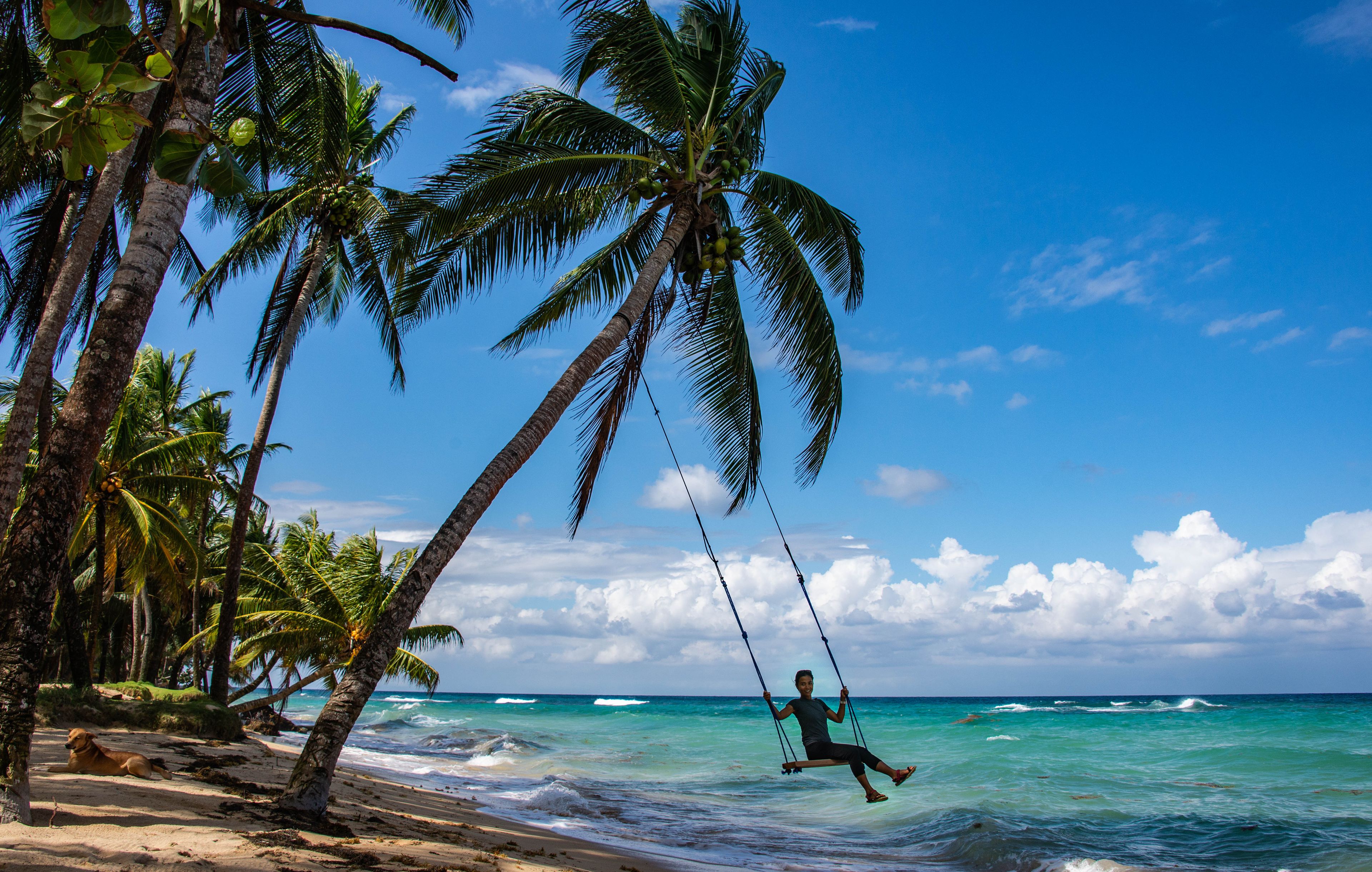 A beach with palm trees, ocean waves, and a person on a swing.