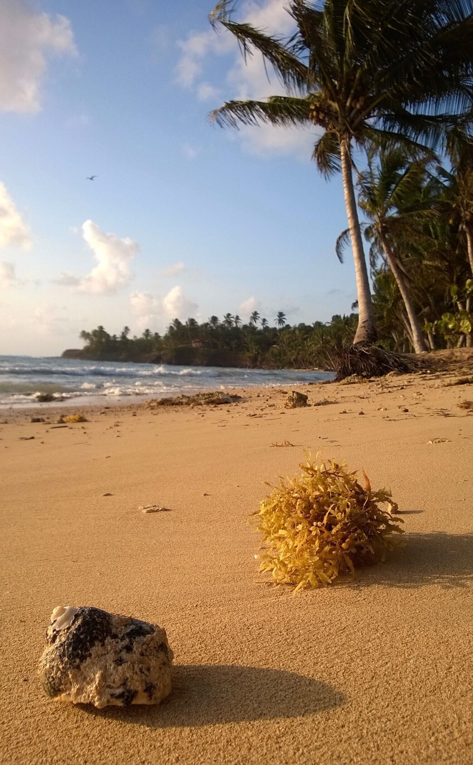 Waking up early while on vacation usually isn't something I'm eager to do. But this particular morning my friend and I couldn't sleep so we got up to watch the sunrise, just steps from our beach side bungalow. We decied to go for a wander down the deserted beach, listening to island wake up. #BeachBound