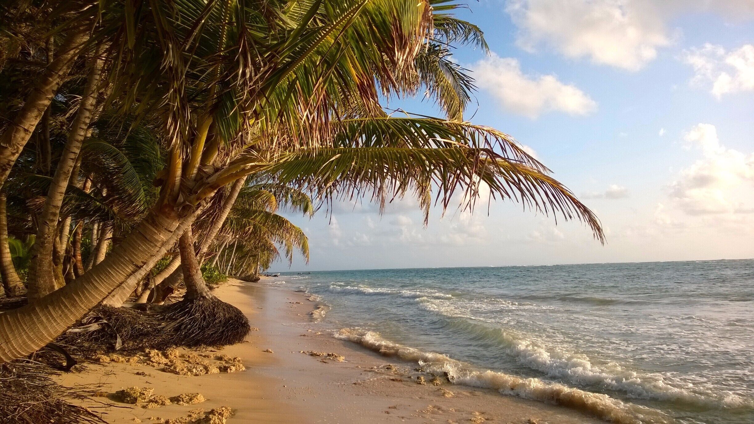 Waking up early while on vacation usually isn't something I'm eager to do. But this particular morning my friend and I couldn't sleep so we got up to watch the sunrise, just steps from our beach side bungalow. We decied to go for a wander down the deserted beach, listening to island wake up. #BeachBound