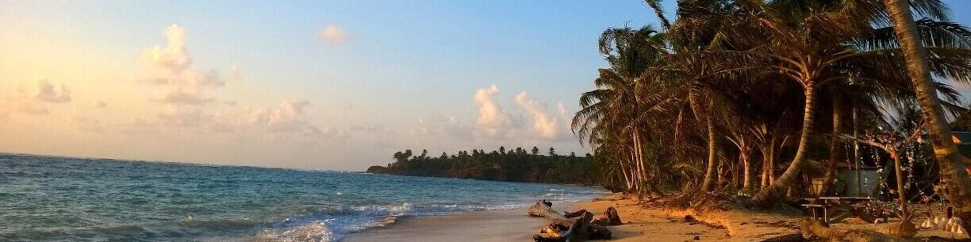 A beach with palm trees, ocean waves, and a clear sky.