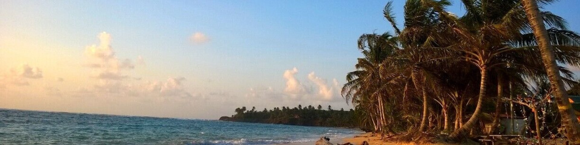 Uma praia com palmeiras, ondas do oceano e céu claro.