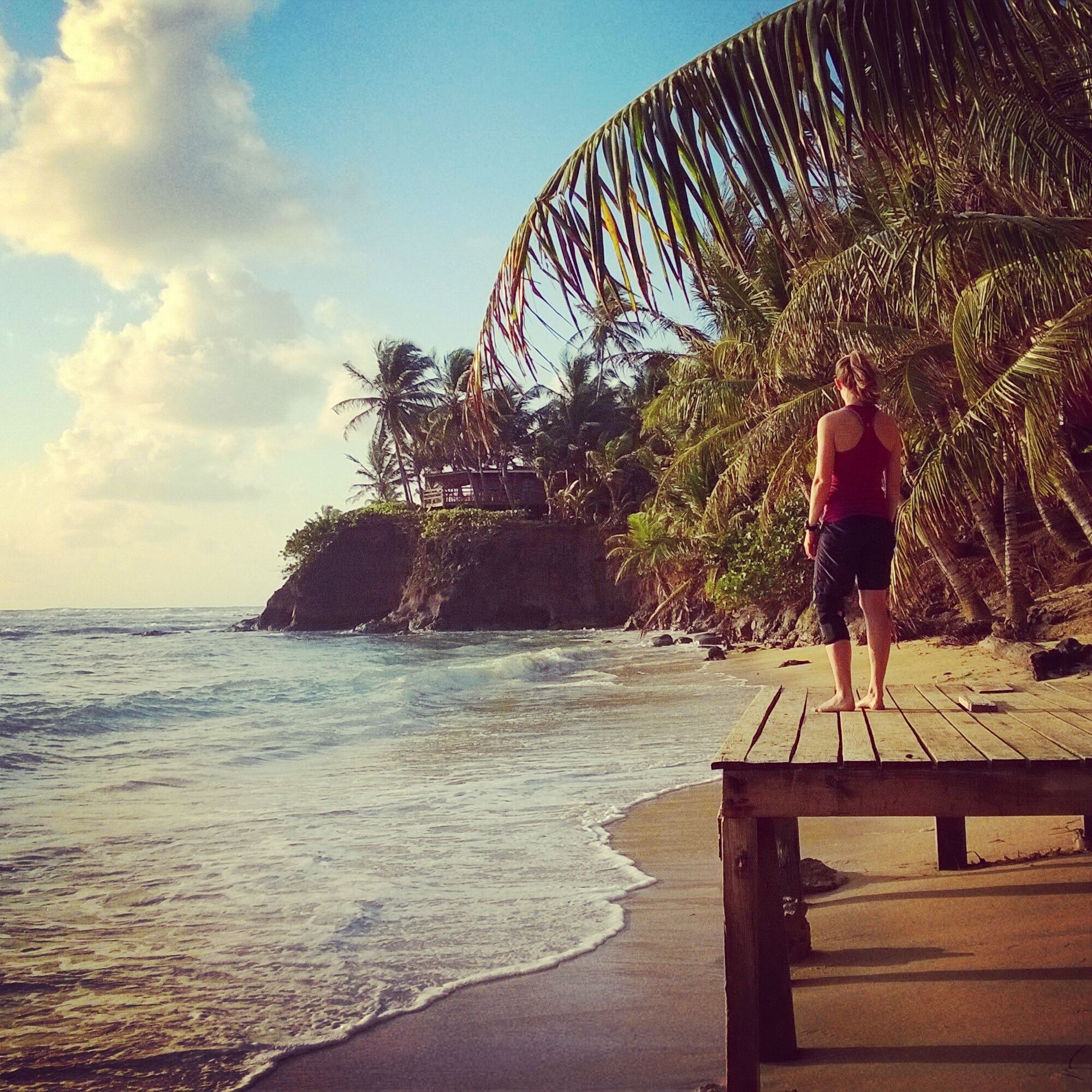 A beach with palm trees, ocean waves, and a wooden pier.