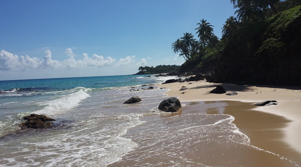 #BeachBound South East Side