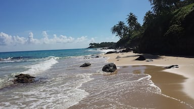 Una playa con agua turquesa cristalina, orilla arenosa y rocas dispersas.