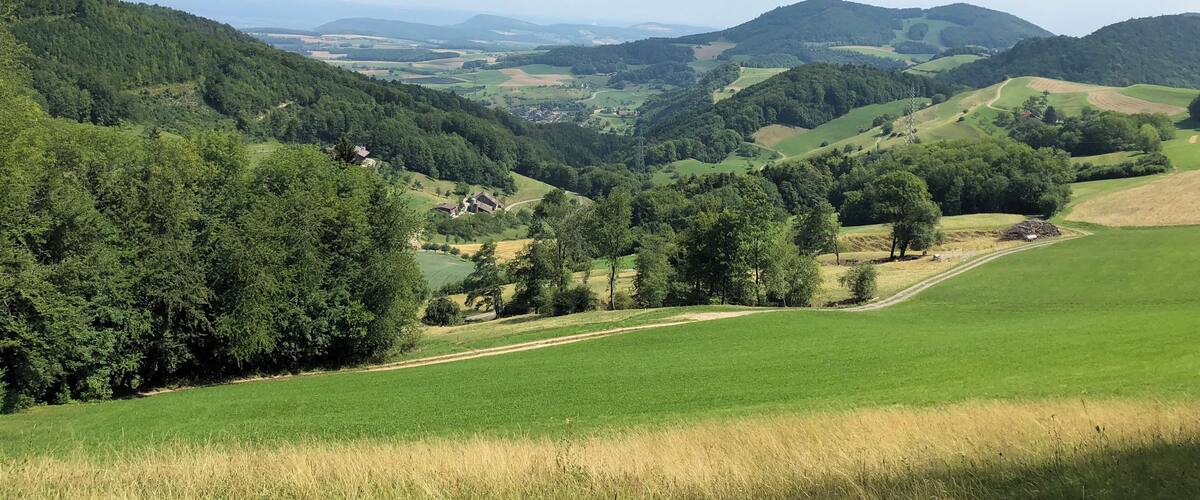 A valley with rolling hills, dense forests, and a clear sky.