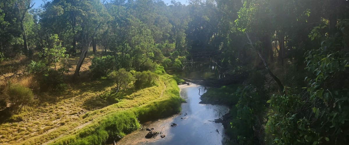 A river flowing through a forested area with sunlight filtering through the trees.