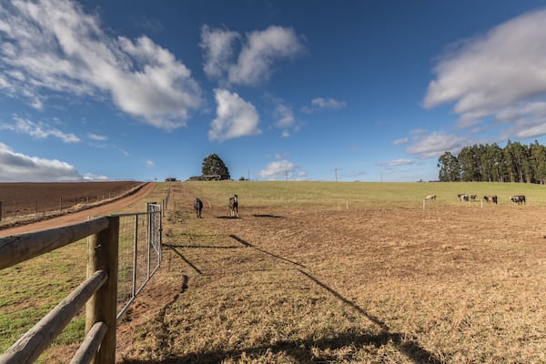 Farmland at Manjimup. One of the best nature land in Western Australia., Shutterstock ID 544557730, Purchase Order: -
