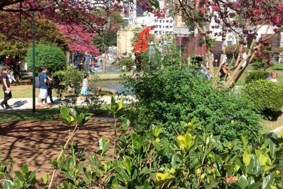 A park with flowering trees, a fountain, and a building in the background.