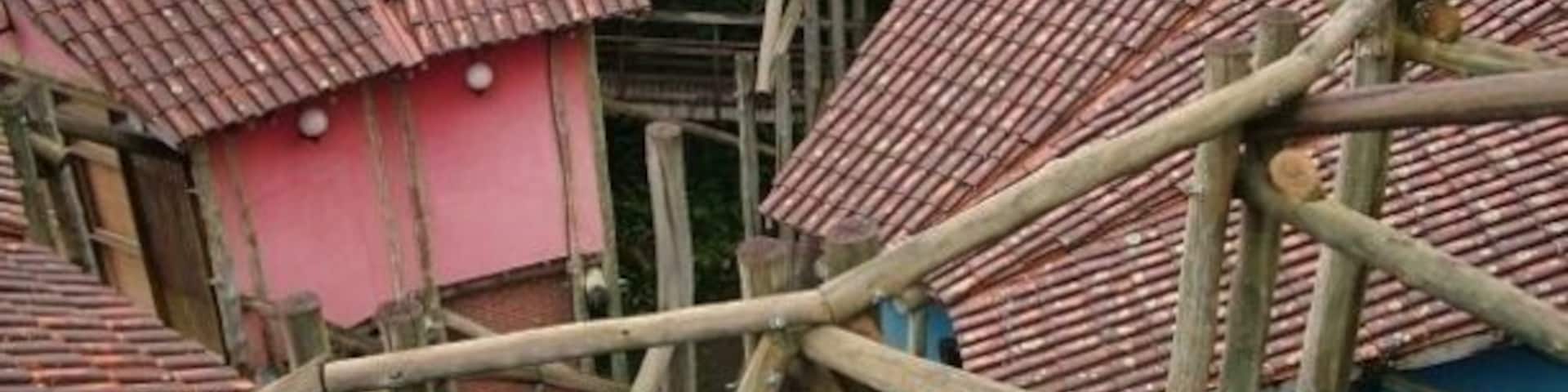 Universidade de meio ambiente - Curitiba