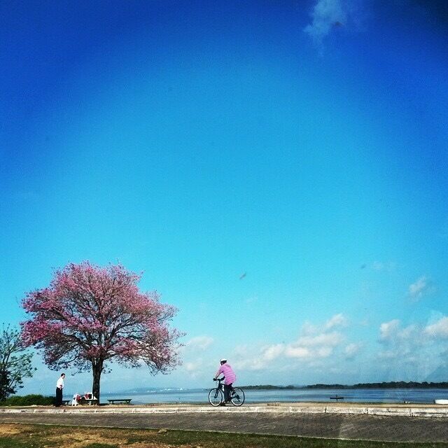 When spring is coming.... We have a nice view here. #weekendgetaway 😻
