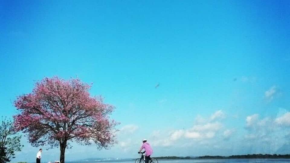 When spring is coming.... We have a nice view here. #weekendgetaway 😻