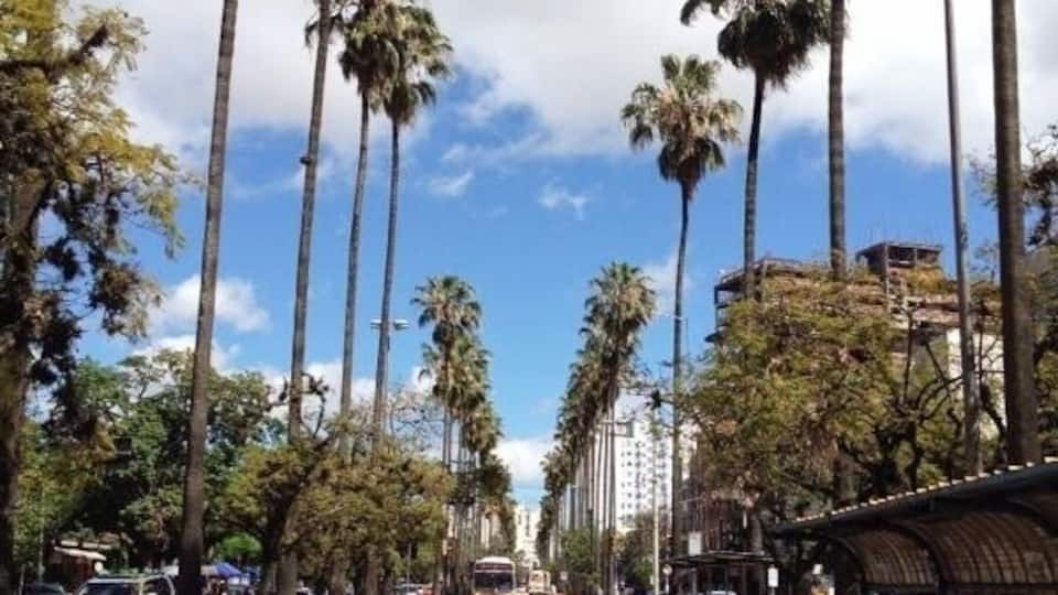 #brazil #street
2015