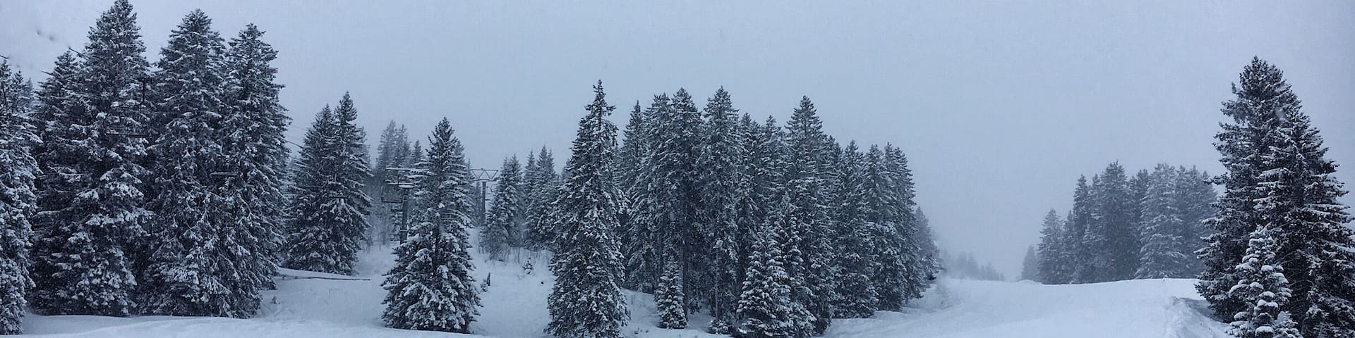 Enjoying the last snowy days before spring arrives âïž