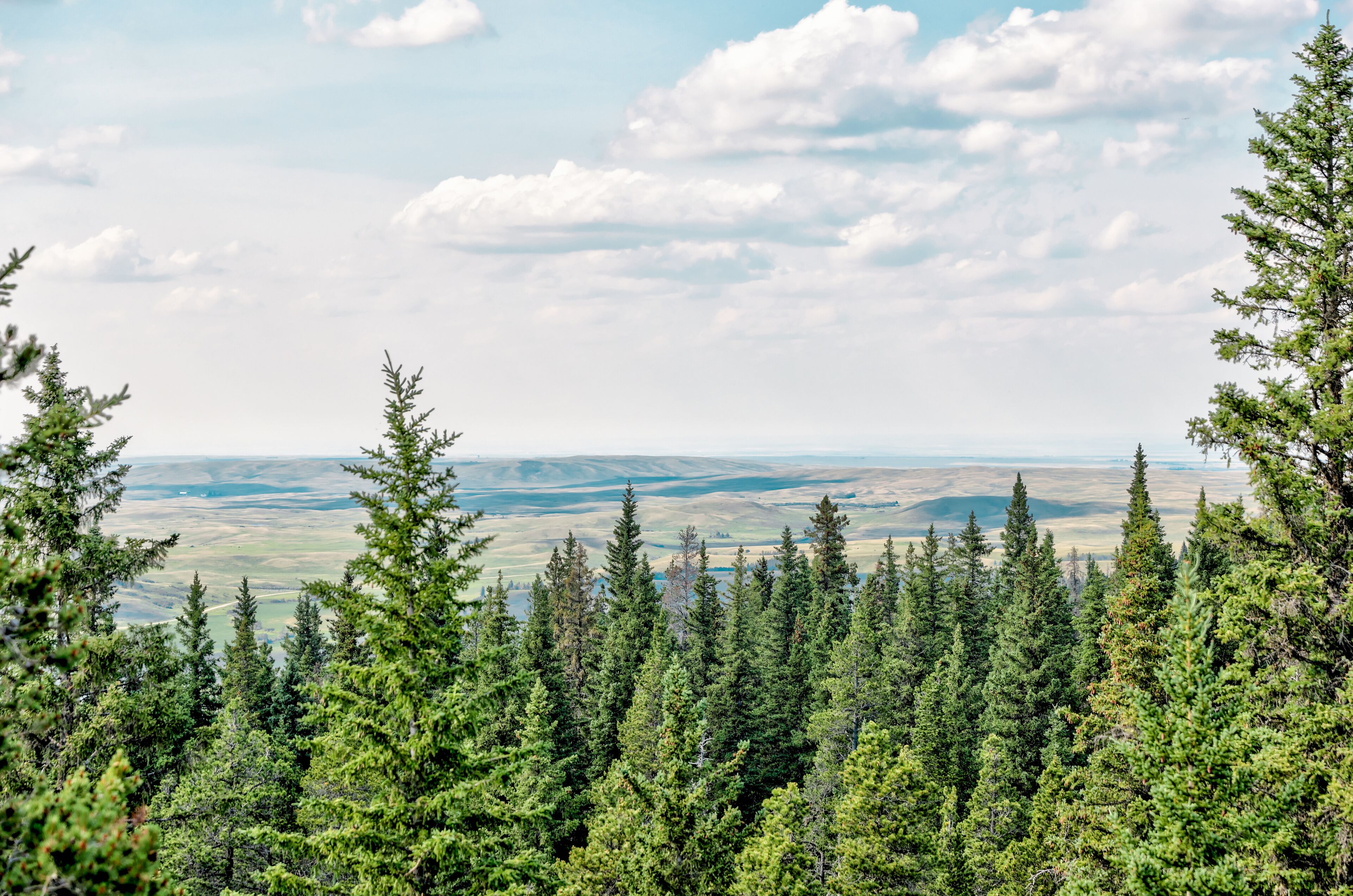 Landscapes around Elkwater Lake and surrounding region in Cypress Hills Alberta