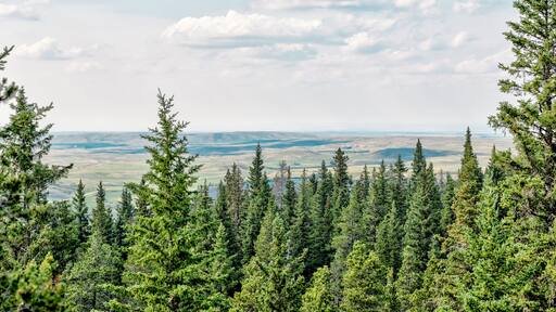 エルクウォーター