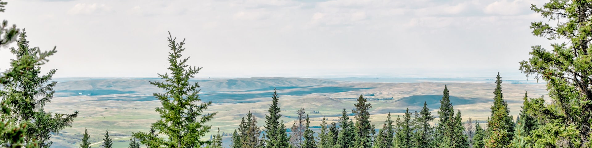Landscapes around Elkwater Lake and surrounding region in Cypress Hills Alberta