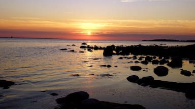Klintehamn - Gotland.
You can reach island Stora Karlsö using the daily ferry from Klintehamn Harbour. On the island you will find a youth hostel and a café. The islands are famous for its bird cliffs of nesting razorbills and guillemots.