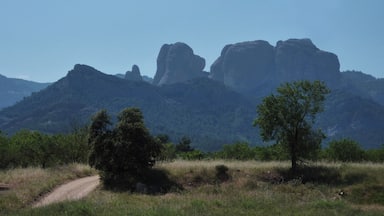 Viarnets - Giants Molars!