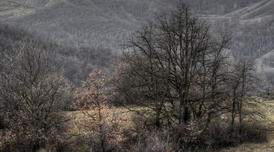 Sun going down - Casalgrande (RE) Italy - January 1, 2013