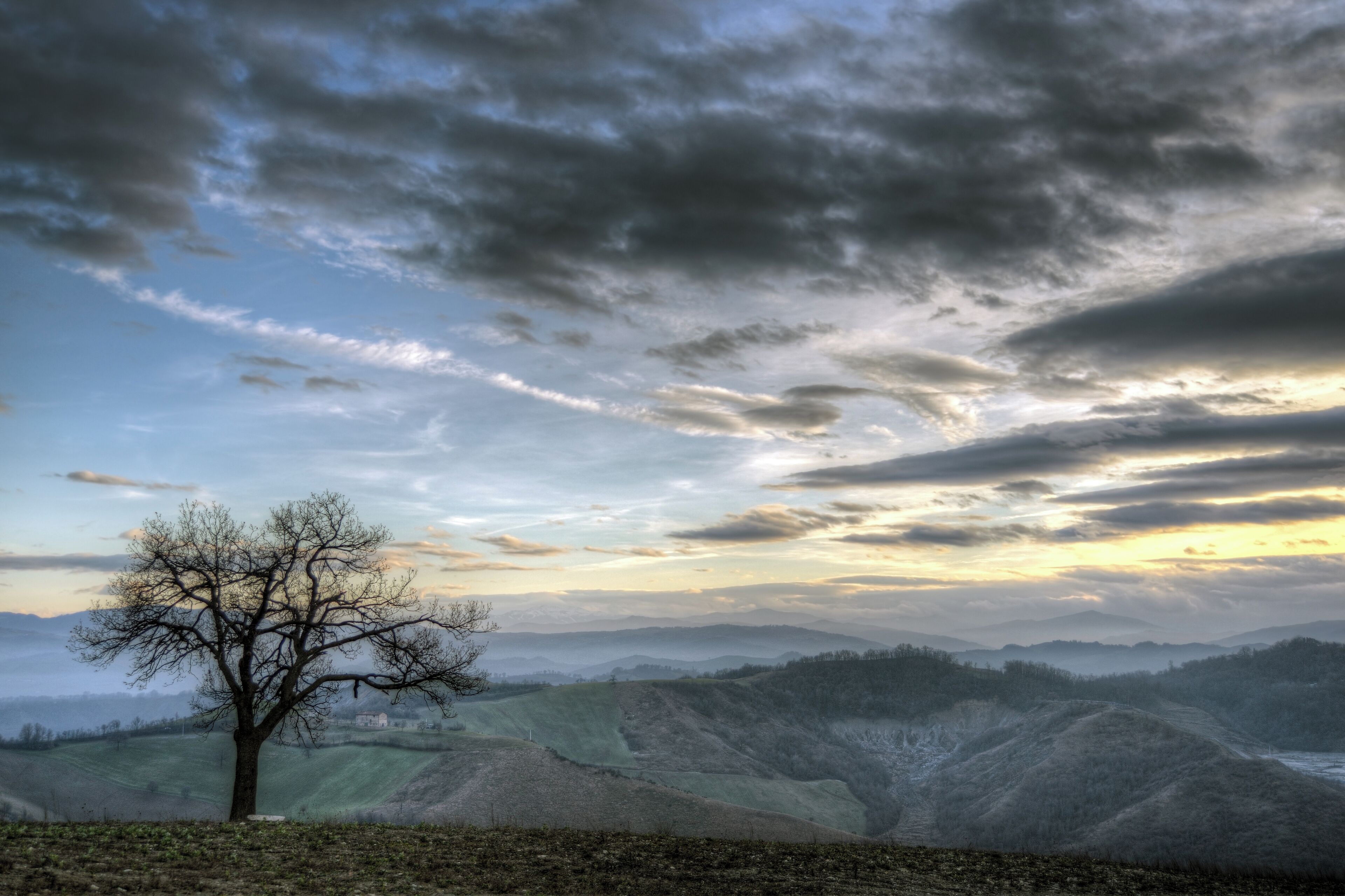 Lonely Tree - Casalgrande (RE) Italy - January 1, 2013