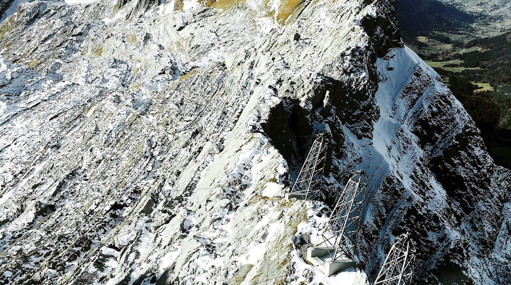 for us this was a finger snapping quick trip as we had to race against time. soon as we get to the top the rush around was well worth it-- fantastic panoramic
view :) with remains of snow from previous days and beaming sunshine.