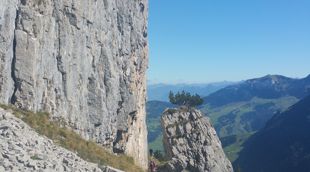 Great Rock formations up to 2500 meter high, deep and steep valleys. Must see! Look closer you and you can see people hiking which is my Dad who is 84 years old:)