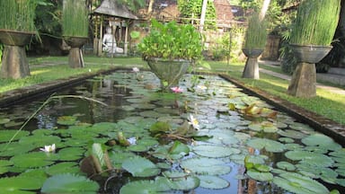 If you want serenity and you are planning a trip around Java, stay at this hotel on the outskirts of Jogjakarta. You can catch the train from Jakarta. #Java #serenity #green