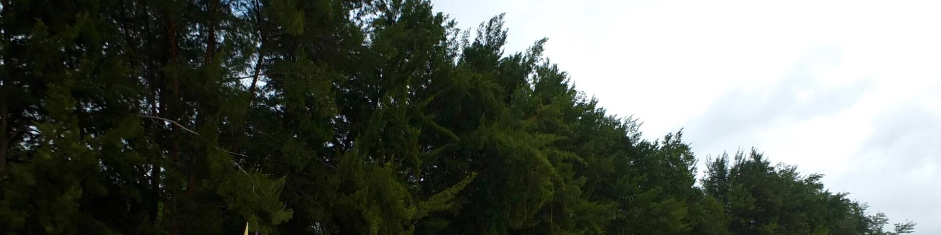 Beach of Manukan Island