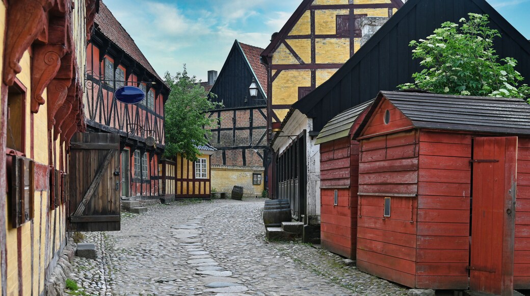 Old village street with half-timbered houses