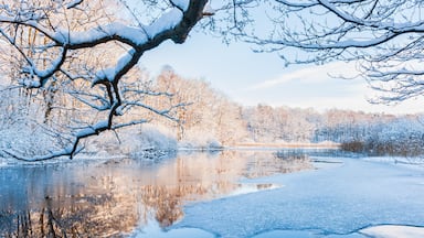 Um lago congelado com árvores cobertas de neve e um reflexo límpido.
