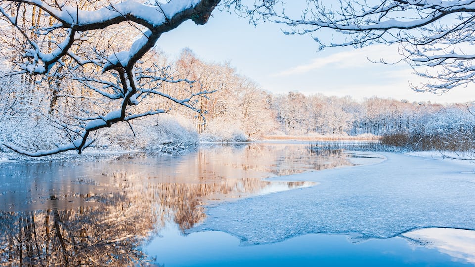 A frozen lake with snow-covered trees and a clear reflection.